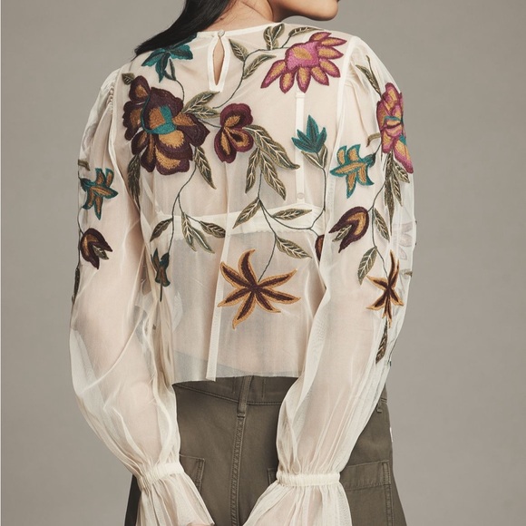 Anthropologie Sheer Top with Multicolor Floral Embroidery - Picture 3 of 3